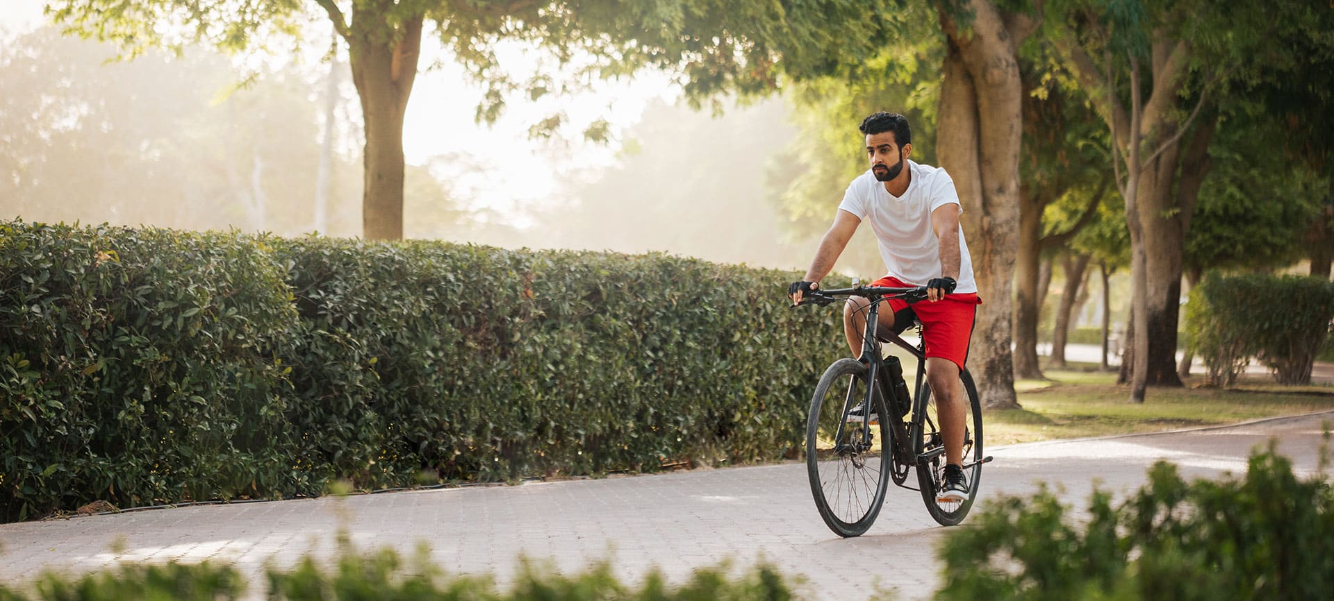 Cyclist enjoying forest trails